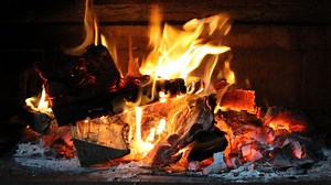 Chèque bois: comment en faire la demande en ligne