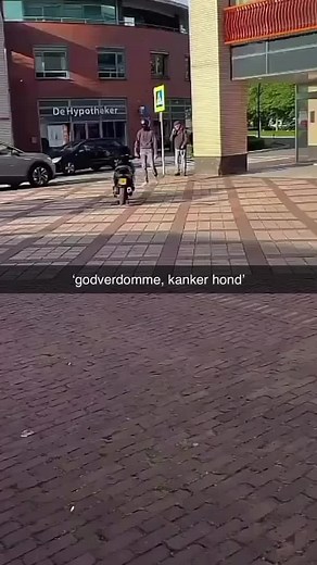 Grappige Taalgebruik van Deze Man