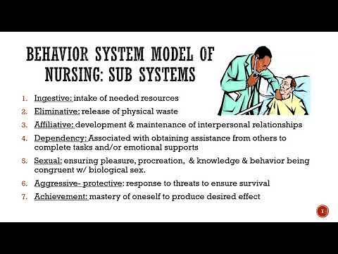 Dorothy Johnson (Nursing Theorist)