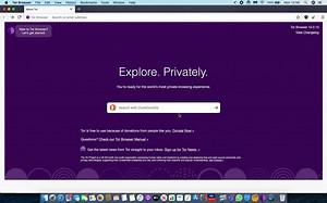 searching anything on tor won't load.