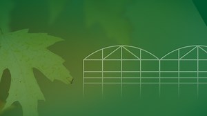 Multi-factor Authentication