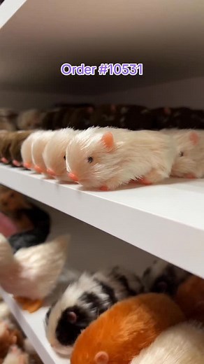 Loving the dark pink bow to match the pacifier 😍 #piglet #babypig #minipig | Loula's Little Nursery