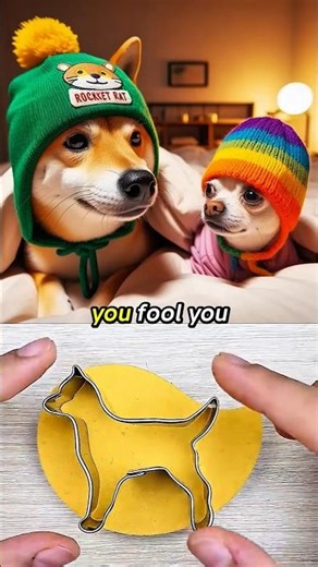 This Tiny Shiba Inu Faced a Demon… What Happened Next Was Wild 😱🐕#memes #funny