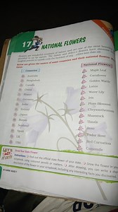 Find out the official state flower of your state. Draw the flow... | Filo