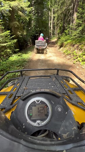 ATV Adventure Through Dense Forest Trails