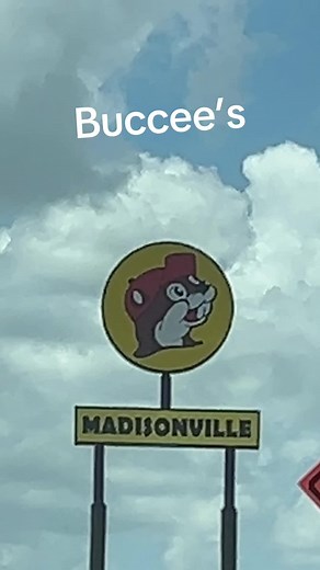 Buccee's Haul: Must-Have Items from Buccee's