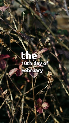 Today is about moving forward with intention, professionalism, and care in everything we do. We remain focused on consistency, integrity, and showing up fully for the work and the people who trust us. Seasons may change, but our commitment to quality, respect, and strong values remains the same. Steady progress, thoughtful work, and gratitude continue to guide us through the week. #trending #faithinnovationsinc #tuesday #dailyprayer #amen
