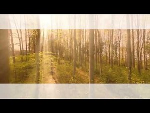 Identities Meme Background