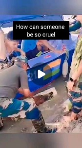 Sudhir Kudalkar on Instagram: "Excellent rescued of cow...."