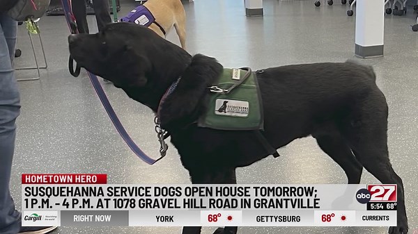 Go behind the scenes at service animal training