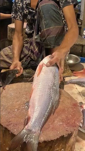 Amazing Fish Cutting | Super Fast & Satisfying Technique 🐟🔪 #shorts
