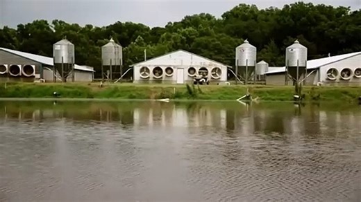 Sharp Objects - Tráiler subtitulado