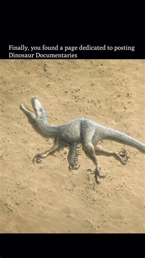 ⏰ 𝗙𝗼𝗹𝗹𝗼𝘄 𝘁𝗼 𝗴𝗼 𝗯𝗮𝗰𝗸 𝗶𝗻 𝘁𝗶𝗺𝗲 | Here in Mongolia, few signs of dinosaurs remain, and for this starving Tyrannosaurus the future looks bleak. It lingers near the cave that... | Instagram