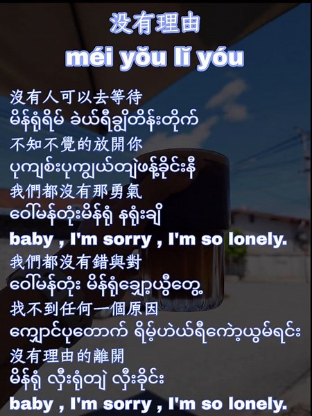 没有理由 Chinese Song | Lyrics and Pinyin Translation