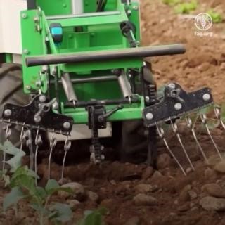 Sustainable #AgriculturalMechanization is not just about machinery. It is also about introducing technologies and #AgInnovation throughout the agricultural value chain. And it has the potential to transform our agrifood systems and reshape our future. This is how👇 #WCID #InnovationDay | Food and Agriculture Organization of the United Nations (FAO)