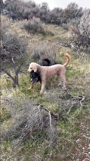 Chinese Arch - Utah. Full video Out Now. #outdoors #history