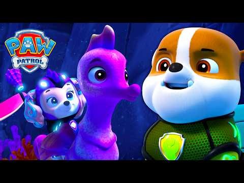 PAW Patrol Aqua Pups REDDER den sunkne ubåd! 🚨🌊 | PAW Patrol | På Dansk | Sammenklip
