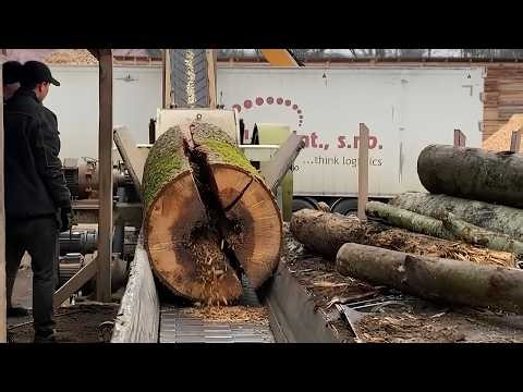 GIANT LOGS vs SHREDDER — Who Wins?
