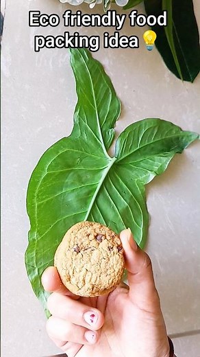 Eco friendly Food Packaging Idea 💡#diy #ecofriendly #food #kitchenhacks