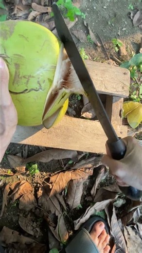 The Fastest Way to Open a Coconut 🥥”