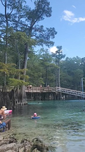 Morrison Springs fl | Patricia Campbell