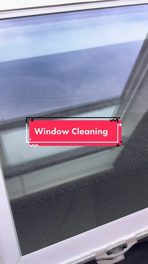 Spring Cleaning Tips for Streak-Free Windows