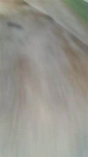 Spongebob_24_ (@spongebob_24_)’s videos with Another Day Of Sun - La La Land Cast