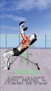 This Is The Type Of Dumbbell Back Workout That Makes Your Upper Body Look Wider Fast#trending#foryou
