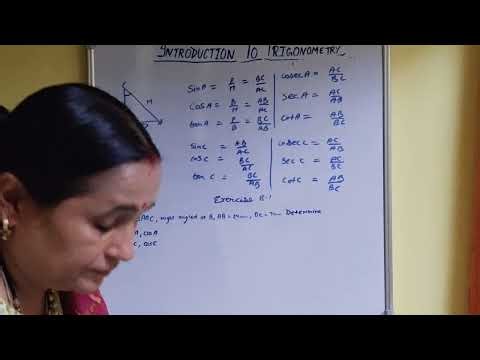 Introduction to Trigonometry in 4 Minutes l Class 10 Maths l Easy Explanation