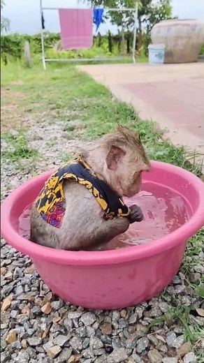 Wow hasha lyly so happy 😊