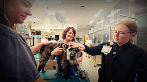 UW Vet School gives aspiring techs a real shot