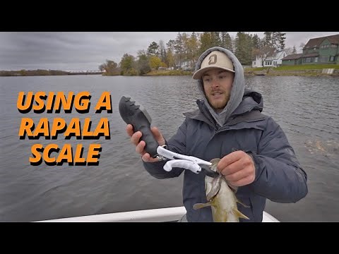 How to Use the Rapala Touch Screen Scale with Jacob Bros