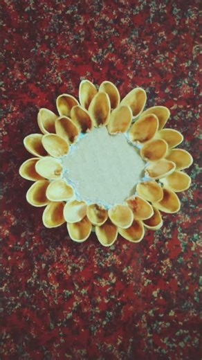 flower 🌺🌹 with pista shell