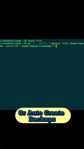 Rename files or Move them in Linux like a PRO #linuxcommands #linuxcommandlinetutorial #shorts