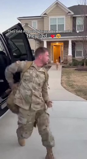 Heartwarming Reunion Between Cat and Owner