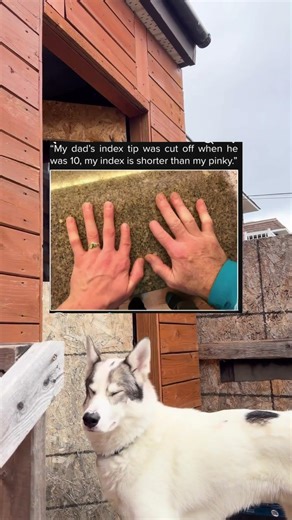 Wow