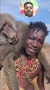 Monkey Videos|Monkey Video 🐒