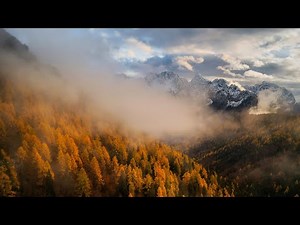 The Ambientalist - Enchanted