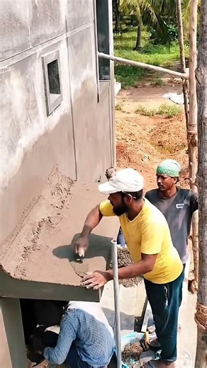 #coconuts, fall from coconut tree onto work site ￼