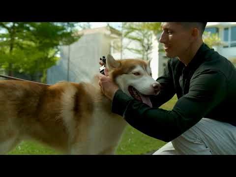 Essentials and Extras Wireless Dog Fence Tutorial