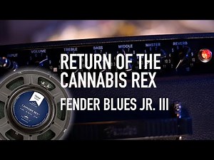 Return of the Cannabis Rex in my Fender Blues junior III