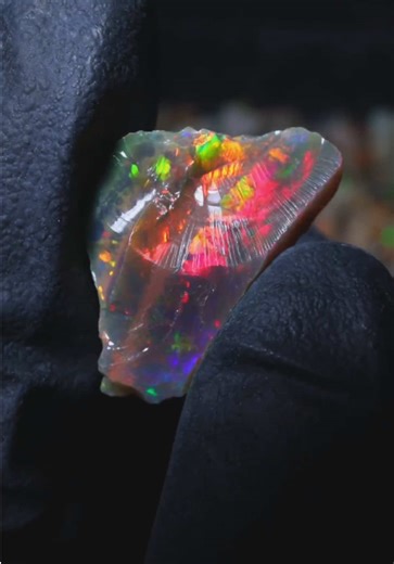This is why you don’t miss an Opal Trove live 🥹🫶✨ Stunning dark jewelry grade opal!! #ethiopianopal #naturalopals #opaltrove #opaljewelry #crystals