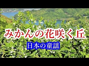 日本の童謡・戦後最高ヒット曲【みかんの花咲く丘】を唄いました！2022.03.26