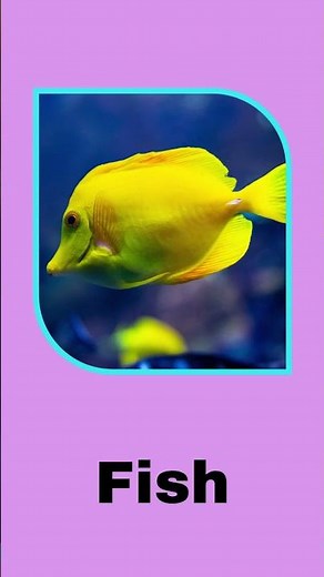 Fun Quiz for Kids | Learning With Fun | Brain Boosting Questions | Quiz | Quiz Time #shorts