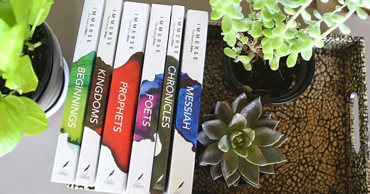 Immerse: The Bible Reading Experience