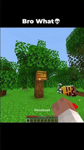 Minecraft Bee Dimension💀#minecraft #shorts