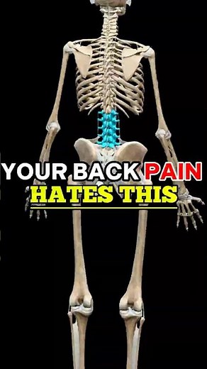 Low Back Pain? Try These 3 Moves