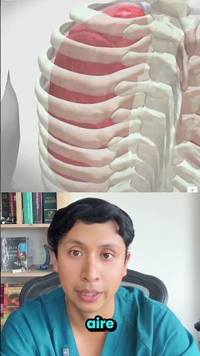 La atelectasia es el colapso parcial del pulmón que afecta la respiración. #medicina #medico