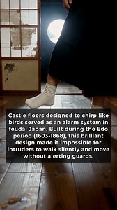 2.1M views · 26K reactions | Walking inside Kyoto Nijo Castle today...