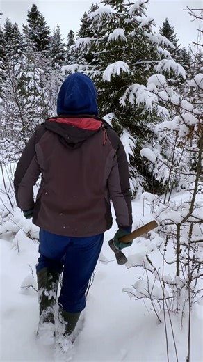 Extreme Winter Survival ❄️💨 Pulling Sled & Building Shelter in Snowy Forest